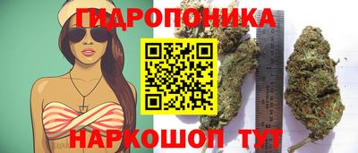 кокс Краснодар